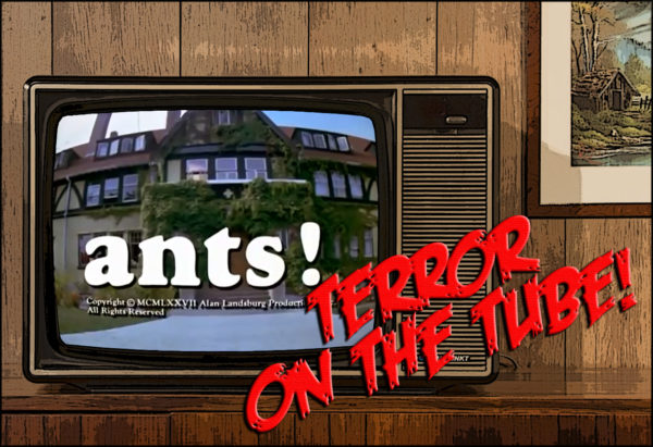 TOTT - Ants!